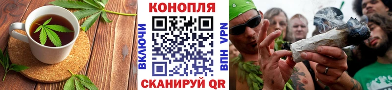 Canna-Cookies марихуана  наркошоп  ссылка на мегу зеркало  Жирновск 