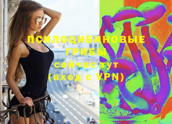 молекула духа Алексин