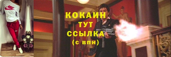 молекула духа Алексин