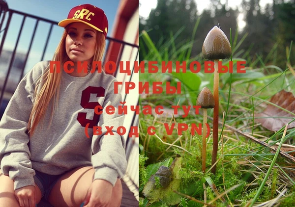 МДПВ Алексеевка
